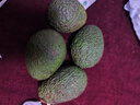 云南國產(chǎn)哈斯牛油果 老樹(shù)奶酪牛油果 新鮮孕婦水果寶寶輔食鱷梨 單果克重：100-130g 4粒獨享裝 曬單實(shí)拍圖
