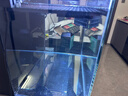 BESSN背濾魚(yú)缸金晶五線(xiàn)超白玻璃成品水族箱一體化過(guò)濾自循環(huán)魚(yú)缸 45*35*30cm背濾精養魚(yú)缸 曬單實(shí)拍圖