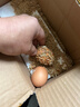 生鮮農家毛蛋雞胚蛋毛雞蛋 喜蛋旺雞蛋 活珠子鳳凰蛋新鮮生的 生的毛蛋30枚裝 曬單實(shí)拍圖
