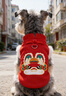 神經(jīng)貓（shenjingmao）狗狗新年喜慶衣服兩腳馬甲泰迪比熊秋冬加絨加厚寵物小型犬狗衣服 德羅紅-龍 L （建議體重8-12斤） 曬單實(shí)拍圖