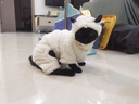 IXJSN小羊肖恩寵物衣服春秋款德文貓新款搞怪寵物四腳衣無(wú)毛貓保暖衣服 小羊肖恩白色 XL8-9斤 曬單實(shí)拍圖