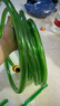 水泊龍水泊龍魚(yú)缸水管軟管水族換水管水泵上水管過(guò)濾桶進(jìn)出水膠管無(wú)毒害 【4分管偏硬】綠色1米 多件發(fā)整根 內徑16毫米 曬單實(shí)拍圖
