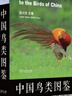 中國鳥(niǎo)類(lèi)圖鑒 科普鳥(niǎo)類(lèi)辨識指南 觀(guān)鳥(niǎo)愛(ài)好者日常參考資料 曬單實(shí)拍圖