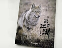 一匹狼的江湖 重返狼群背后的故事原著(zhù)正版  青少年兒童文學(xué) 長(cháng)篇小說(shuō) 動(dòng)物小說(shuō)重返狼群作者李微漪 曬單實(shí)拍圖