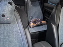 雅派馳汽車(chē)坐墊卡通熊四季通用單片亞麻座椅套半包秋冬可愛(ài)前后排車(chē)座墊 連體款運動(dòng)座椅【豪華版】灰色 曬單實(shí)拍圖