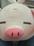 MINISO名創(chuàng  )優(yōu)品柴犬小豬彈力超柔娃娃可愛(ài)毛絨玩偶抱枕生日禮物公仔新年 小豬B-BO翅膀款 見(jiàn)詳情圖 曬單實(shí)拍圖