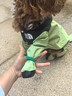 曇蓓漫寵物雨衣全包小狗狗雨衣四腳防水泰迪比熊寵物小型犬防臟雨天衣服 狗狗全包雨衣【綠色可牽引2XL】 【建議16 - 20斤】 曬單實(shí)拍圖