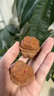 瑯清文玩核桃金蟾蛤蟆頭橄欖核盤(pán)玩精品把件悶尖老樹(shù)精品一對約40mm 曬單實(shí)拍圖