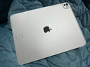 Apple/蘋(píng)果 iPad Pro 13英寸 M4芯片 2024年新款平板電腦(2TB eSIM版/標準玻璃MVY93CH/A)銀色 曬單實(shí)拍圖