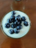 小熊（Bear）酸奶机 家用全自动希腊酸奶奶酪米酒机酸奶发酵菌玻璃内胆陶瓷分杯 SNJ-C10T1 实拍图