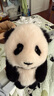 熊貓工廠(chǎng)新品大頭系列仿真福寶熊貓玩偶公仔毛絨玩具節日生日禮物送禮 大頭系列-福寶 骨架款 曬單實(shí)拍圖