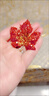 紅色楓葉胸花滿(mǎn)鉆胸針高檔女精致別針高級感氣質(zhì)西服高端迎賓配飾 楓葉胸針 曬單實(shí)拍圖