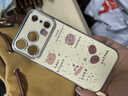 邇舟咖啡小熊適用于iPhone17pro手機殼iPhone 17大視窗電鍍防摔耐磨創(chuàng  )意手機保護套蘋(píng)果17promax 大視窗電鍍殼3代-咖啡小熊 蘋(píng)果17pro 曬單實(shí)拍圖