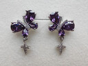 XUPING旭平首飾芒星蝴蝶個(gè)性設計女生耳釘日常百搭送禮X000806989 紫色 曬單實(shí)拍圖