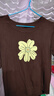獨束大碼女裝清新花卉圖案毛衫T恤2025秋裝新款休閑短袖針織上衣 琥珀棕 4XL （尺碼：6） 曬單實(shí)拍圖