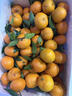 正宗廣東四會(huì )沙糖桔新鮮橘子包郵無(wú)核砂糖橘孕婦水果現摘3/5/10斤 9斤 曬單實(shí)拍圖
