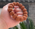 尋歸客精品尼泊爾大金剛菩提子手串爆滿(mǎn)肉梅花雙龍紋原籽5五6六瓣男佛珠 五瓣雙龍紋大金剛【20mm】 曬單實(shí)拍圖