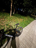崔克（TREK）公路車(chē) MADONE SL 5 碳纖維氣動(dòng)競賽級24速公路自行車(chē)直郵到家 啞光深煙灰色 M（建議身高166-177CM） 曬單實(shí)拍圖