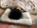 鈺幸兒童枕頭6-12歲學(xué)生成長(cháng)枕3-6歲寶寶分區護頸枕10-15歲青少年枕頭 H2 【適合3~8歲】 枕高4-6cm 母嬰A類(lèi)/冷暖雙面/專(zhuān)業(yè)護脊 曬單實(shí)拍圖