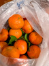 允農正宗廣東肇慶四會(huì )砂糖桔當季新鮮水果小橘子沙糖橘小桔子現摘現發(fā) 【精選裝】嚴選品質(zhì)丨甄選好果丨店長(cháng)力薦 凈重5斤【泡沫箱發(fā)貨】 曬單實(shí)拍圖