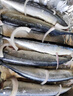 七冰東秋刀魚(yú) 深海魚(yú)燒烤食材新鮮秋刀魚(yú)超大規格冷凍海鮮水產(chǎn)生鮮 魚(yú)類(lèi) 秋刀魚(yú)10斤裝 2號秋刀 曬單實(shí)拍圖
