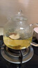 trendglas JENA德國進(jìn)口煮茶壺玻璃養生壺茶水分離泡茶壺直火電陶爐燒水壺大容量 玻璃煮壺 （玻璃蓋） 曬單實(shí)拍圖