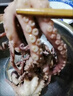 超大長(cháng)腿八爪魚(yú)新鮮活特大冰凍熟凍大章魚(yú)八爪魚(yú)冷凍冰衣 500克*5包 2500g(凈重) 曬單實(shí)拍圖