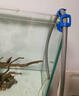 花樂(lè )集魚(yú)缸換水管固定夾水族箱抽水管固定器玻璃夾抽水軟管支架夾子 水管固定夾 曬單實(shí)拍圖
