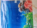 魚(yú)缸背景貼紙5d高清畫(huà)立體畫(huà)海底世界3d水族箱造景裝飾壁紙自粘紙 06.海底世界 寬60cm-高30cm【送刮板】 曬單實(shí)拍圖