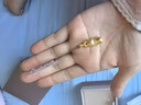 六福珠寶福滿(mǎn)傳家足金吞財貔貅銅錢(qián)黃金吊墜不含項鏈單件 計價(jià) F48G0042DS 5.43克(含工費472元) 中版 曬單實(shí)拍圖