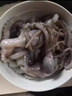 超大長(cháng)腿八爪魚(yú)新鮮活特大冰凍熟凍大章魚(yú)八爪魚(yú)冷凍冰衣 500克*5包 2500g(凈重) 曬單實(shí)拍圖
