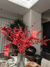 臨雅北美冬青紅果水培鮮花新年盆栽室內鮮切銀柳真花鮮枝年宵花卉水養 【德邦】5A冬青60cm5枝 送掛件 曬單實(shí)拍圖