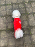JCZS德國品牌小狗狗衣服冬裝新年絨衣加厚保暖小型犬比熊雪納瑞泰迪寵 新年紅運暖暖絨衣 【四腳全包全身保暖】 S背長(cháng)20cm(按照背長(cháng)購買(mǎi)/參考體重2.5-4斤 曬單實(shí)拍圖