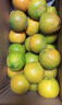 南步浙江溫州甌柑 麗水特產(chǎn)苦橘子黃果苦桔椪柑柑歐柑桔新鮮水果整箱 5斤 精選中果【約4-5個(gè)/斤】 曬單實(shí)拍圖