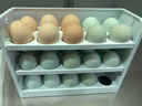 有機綠殼雞蛋30枚裝松林蛋 有機認證無(wú)抗無(wú)激素 吃蟲(chóng)吃草生態(tài)散養 30枚裝 曬單實(shí)拍圖
