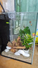 IXJSN超白魚(yú)缸客廳小型家用辦公室生態(tài)懶人全套造景迷你水草缸桌面斗魚(yú) 20.20.25cm加大 魚(yú)缸十件大禮包蓋子 曬單實(shí)拍圖