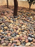 裕漫天50斤鵝卵石鋪路鋪地庭院花園造景天然大小石頭雨花石原石鵝軟暖石 50斤 普通五彩4-6cm 曬單實(shí)拍圖