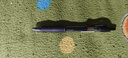 百樂(lè )（PILOT）G-2中性筆芯子彈頭筆芯簽字筆練字水筆筆芯速干 BLS-G2-5-B 0.5mm 黑 單支 曬單實(shí)拍圖
