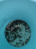 正宗中科五號鯽魚(yú)苗工程鯽魚(yú)淡水養殖草魚(yú)苗鯉魚(yú)花鰱包活批發(fā) 中科鯽 4-6厘米200條（發(fā)220條） 曬單實(shí)拍圖