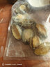 新鮮速凍去牙去殼去內臟超級大號鮑魚(yú)肉鮮活鮑魚(yú)現剝（35%冰） 鮑魚(yú)肉8-10頭（500g）包 *1包 曬單實(shí)拍圖