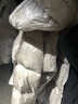 黑冰25秋冬男款鵝絨800蓬高蓬防潑輕量保暖活帽羽絨服F8620MJ 銀灰 3XL 曬單實(shí)拍圖