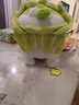 可愛(ài)白菜狗公仔布娃娃抱枕玩偶睡覺(jué)抱蔬菜精靈毛絨玩具生日禮物 站款菜狗 30厘米 曬單實(shí)拍圖