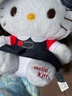 Hello Kitty正版公仔凱蒂貓玩偶毛絨玩具KT貓可愛(ài)毛絨公仔掛件娃娃女孩禮物 【24cm】牛仔裙kt貓公仔 正版授權+防偽標 曬單實(shí)拍圖
