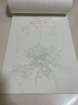 百花繪白描描摹本 工筆畫(huà)花卉白描線(xiàn)稿臨摹 百花圖譜 勾線(xiàn)控筆描摹 中國畫(huà)初學(xué)者入門(mén)教程 工筆畫(huà)白描練習冊 百花繪·白描描摹練習本 曬單實(shí)拍圖