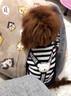 阿莫爾狗狗衣服秋冬季保暖四腳衣中小型犬棉衣比熊泰迪寵物冬裝加絨加厚 黑白條萌趣小熊~（四腳衣） S 曬單實(shí)拍圖