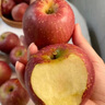 正宗新疆阿克種植正品冰糖心蘋(píng)果水果新鮮蘇整箱應季紅富士丑蘋(píng)果 品質(zhì)小果【嘗鮮體驗】 5斤裝 曬單實(shí)拍圖