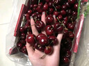 愛(ài)鮮摘農場(chǎng) 智利車(chē)厘子【JD-多地次日達】4J級進(jìn)口大櫻桃水果禮盒年貨禮品盒 3斤(凈重) 【超值裝-80%選】爽吃禮盒 【黑鉆級｜脆甜爽吃】3J 巨無(wú)霸 30-32mm 曬單實(shí)拍圖