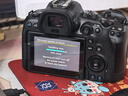 佳能（Canon）全畫(huà)幅R6 Mark Ⅲ R5 Mark II R6 Mark II RP R系列高清攝像直播 二手微單相機套機/機身 R6 機身/套機 本店包含國行/非國行商品 顏色規格參考質(zhì)檢報 曬單實(shí)拍圖