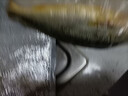 產(chǎn)地直采寧德冰鮮黃花魚(yú)400g-500g/條 曬單實(shí)拍圖
