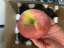 人類(lèi)第四個(gè)蘋(píng)果慶陽(yáng)紅富士蘋(píng)果整箱 冰糖心蘋(píng)果采購送禮 現季水果過(guò)時(shí)則無(wú) A級富士5斤（含箱）9枚嘗鮮裝 曬單實(shí)拍圖